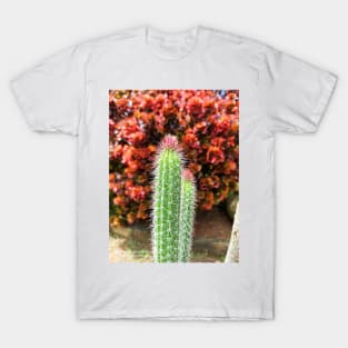 Cactus T-Shirt